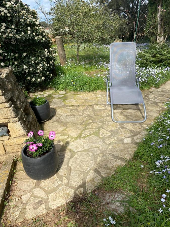 Studio Havre De Paix Au Pont Du Gard Piscine Et Jacuzzi Chez Valerie Payre Vers Pont du Gard Dış mekan fotoğraf